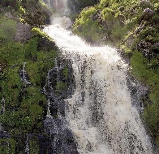 Nesbitt Arms Boutique