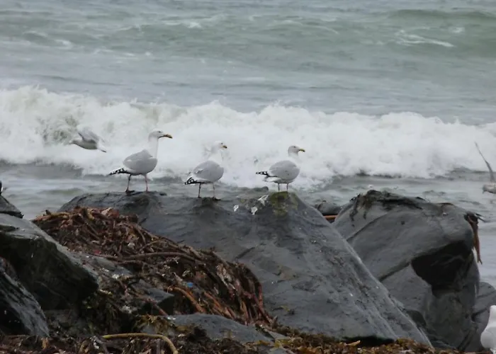 Nesbitt Arms Boutique 3*